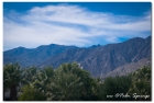 沙漠绿洲棕榈泉 （Palm Springs）掠影
