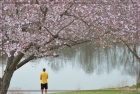 春暖花开的日子（一）---传说中的”桃花岛”